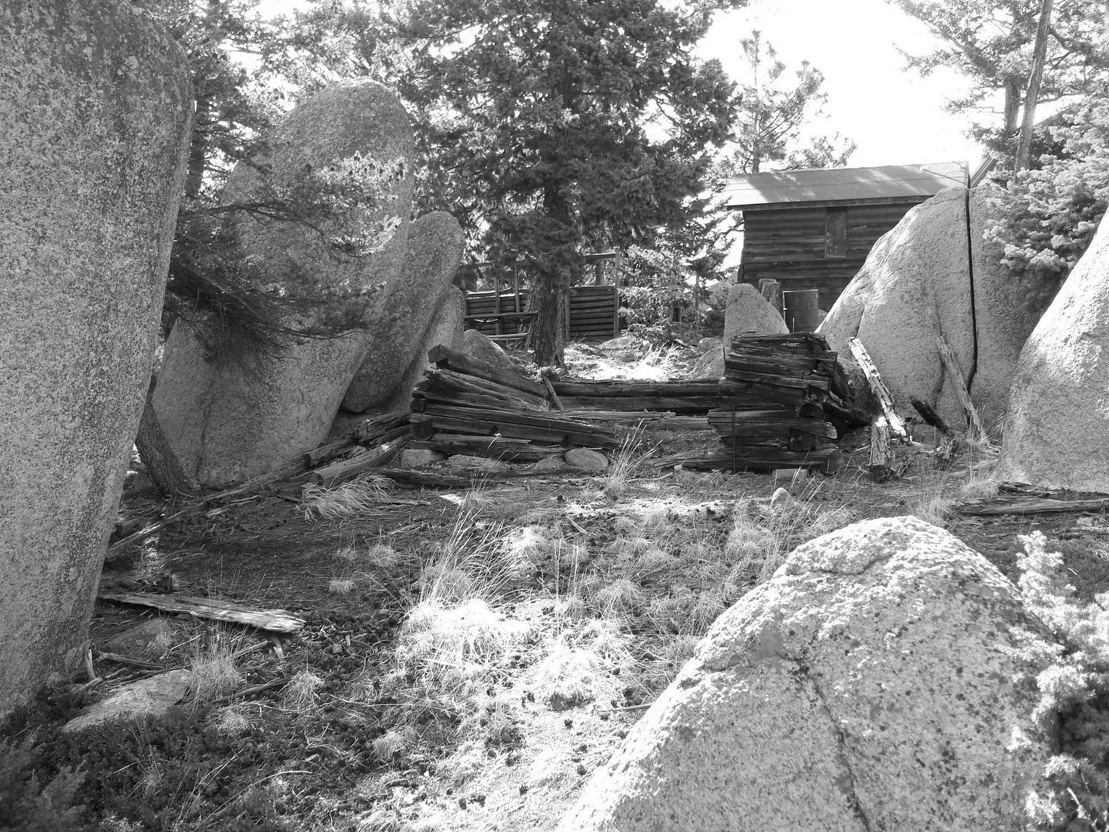Historic Crystal Park Hidden Cabin to Lost Cabin