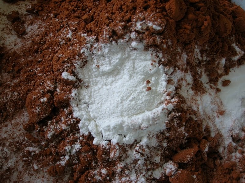 Rindy Mae Whole Wheat Chocolate Blueberry Cake