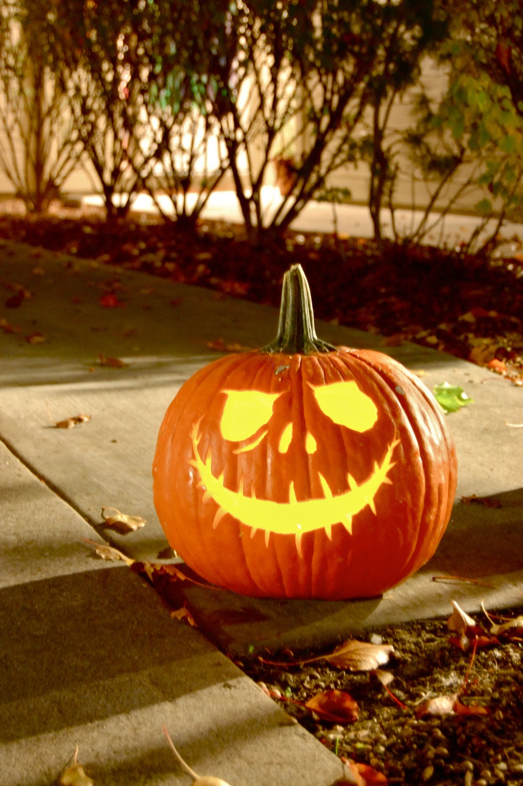 That�s So Cuegly This is Halloween! That�s So Cuegly This is Halloween!