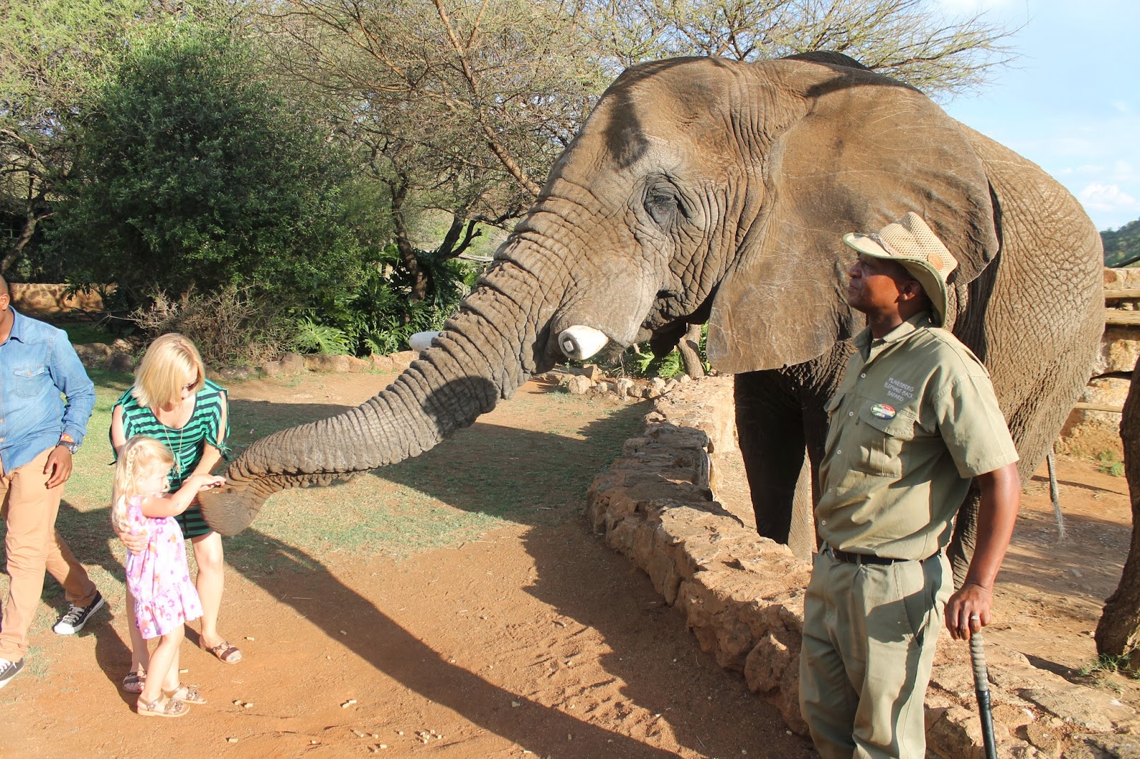 to the Snyder Life How to feed an elephant