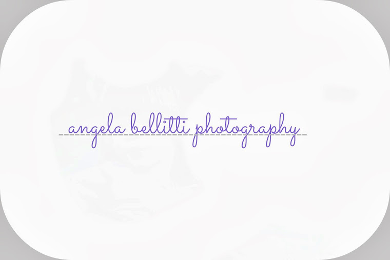 angela bellitti photography