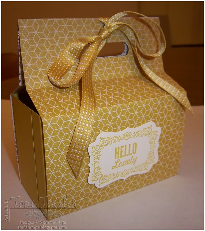 ToniStamps Wrapped Opentop gift box