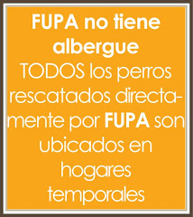 NO tenemos ALBERGUE