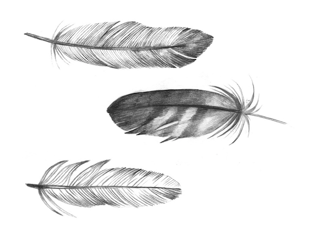 dreamcatcher feathers me and my pup dream catchers feathers tattoos oh my dreamcatcher feathers me and my pup dream catchers feathers tattoos oh my