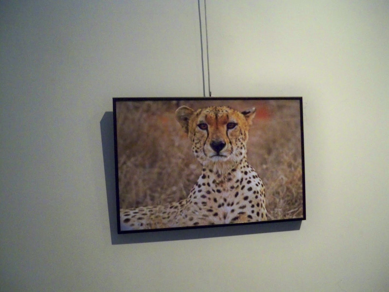 All The Real World Coat of arms of Kenya