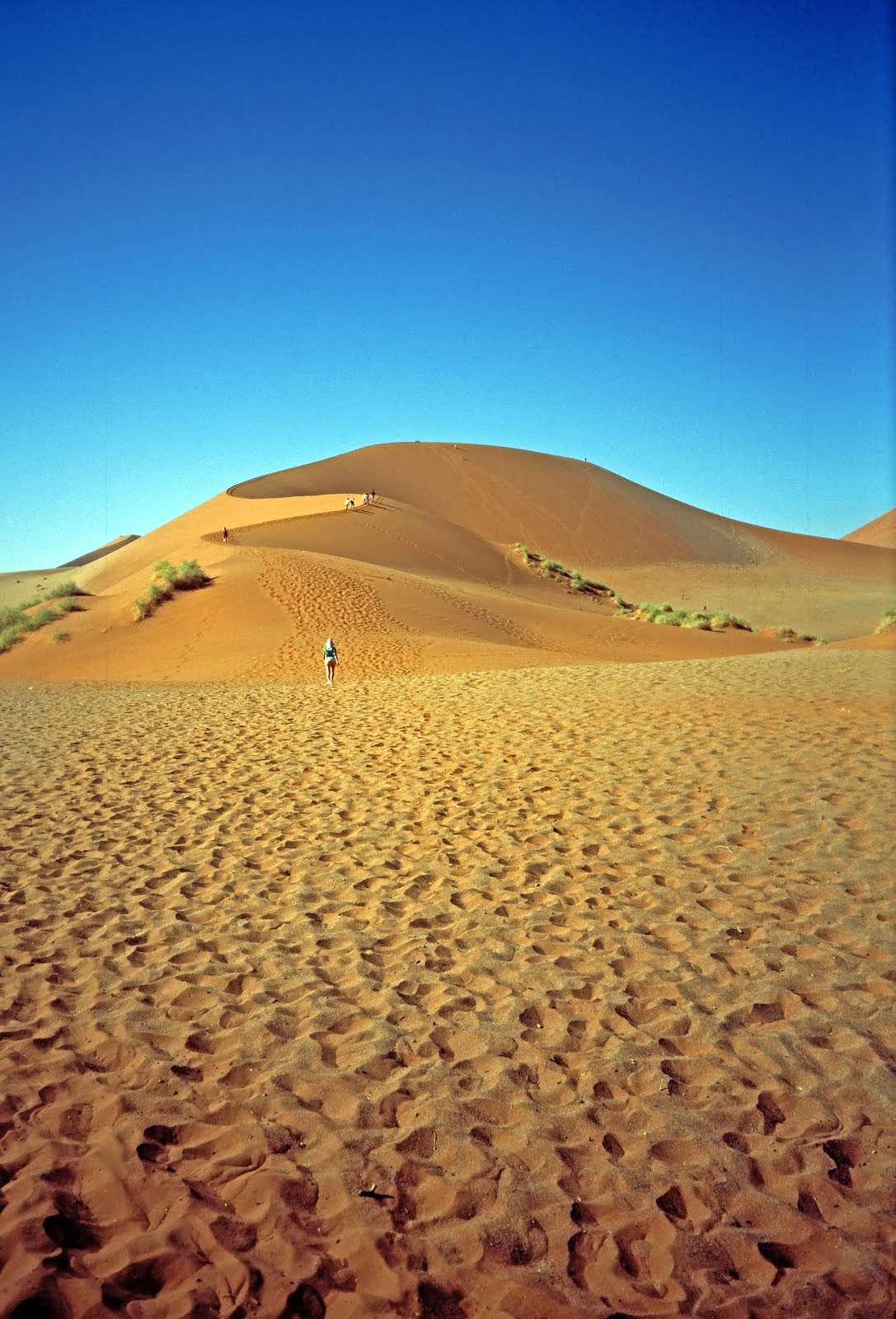 namibia 1994