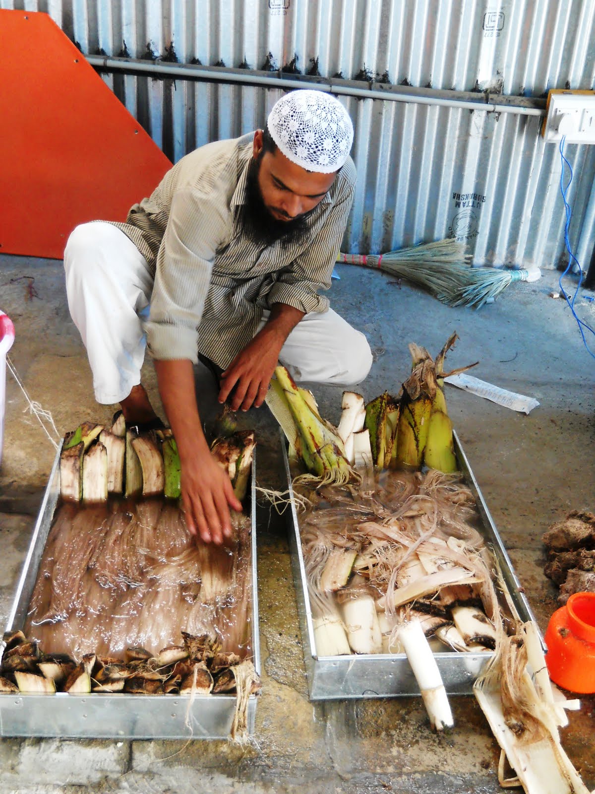Eco Green Unit Banana fibre extraction project at Gulbargha