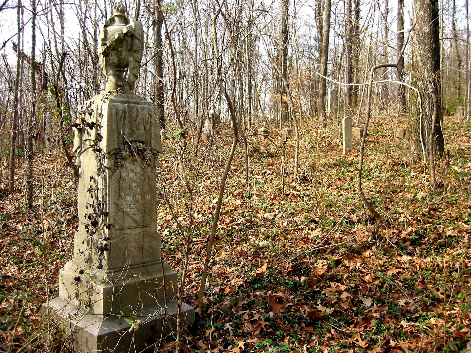 The Shockoe ExaminerBlogging the History of Richmond, Virginia New