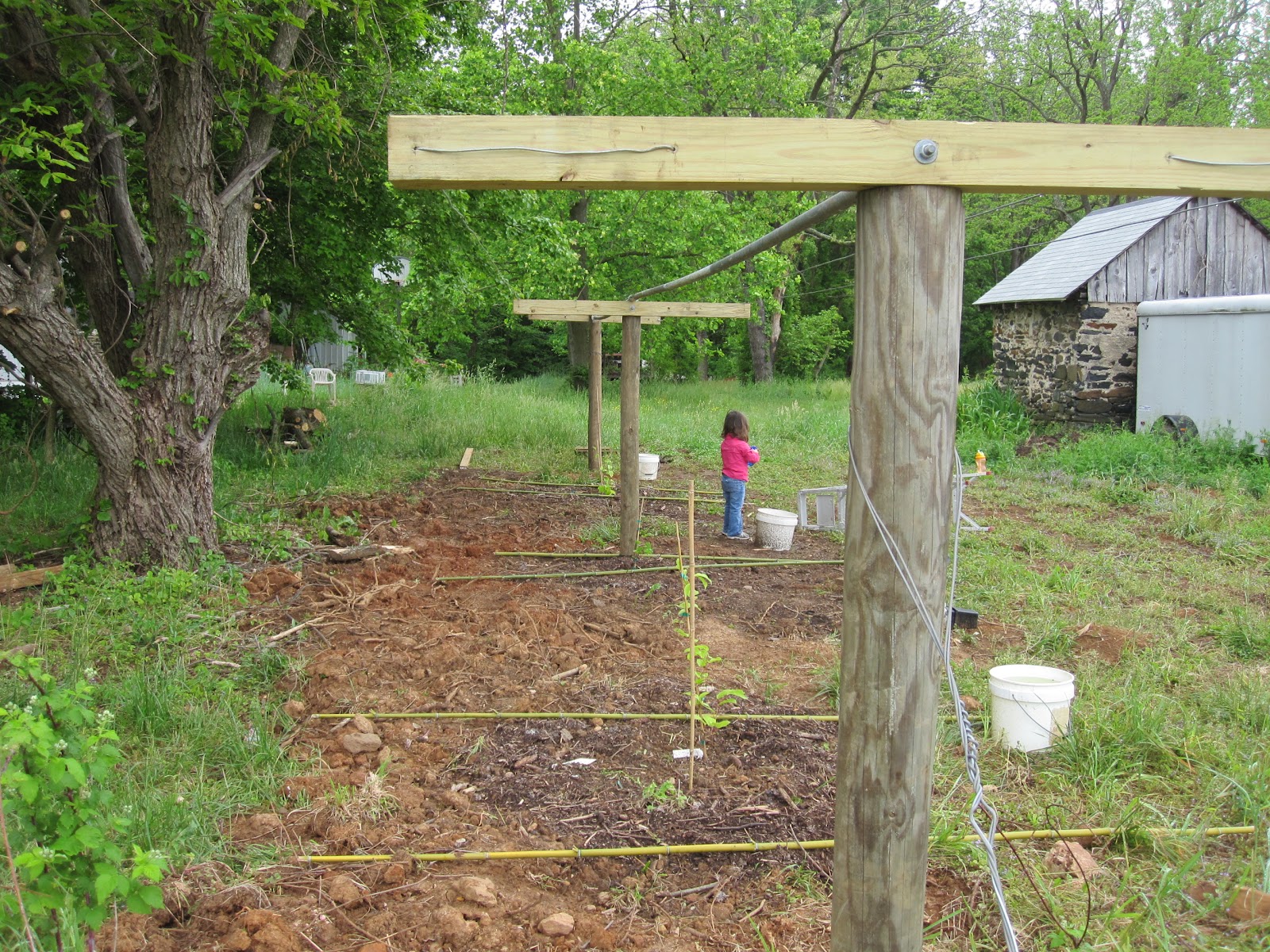 Marisa Makes Hardy Kiwi