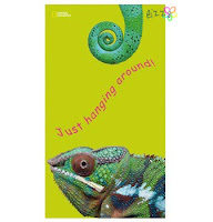 Toalla Playa National Geographic Lagarto Toalla Playa National Geographic Lagart