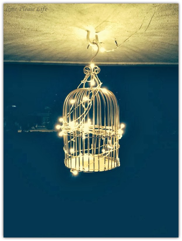 Time Please Life Diy Bird Cage Chandelier Diy Bird Cage Chandelier