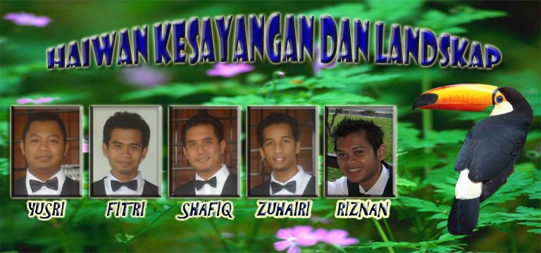 haiwan kesayangan & landskap