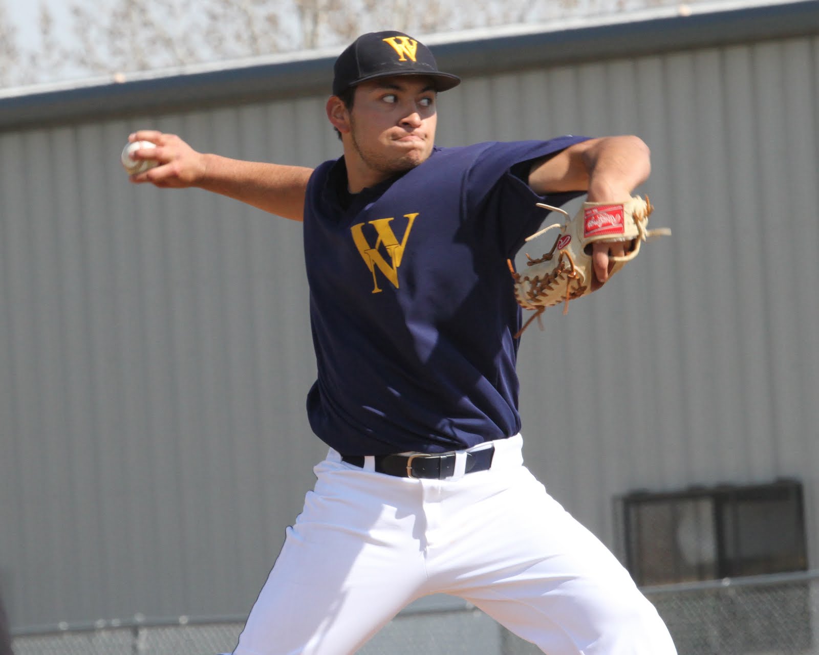 WNCC Cougar Athletics WNCC baseball splits with Northeastern Colorado
