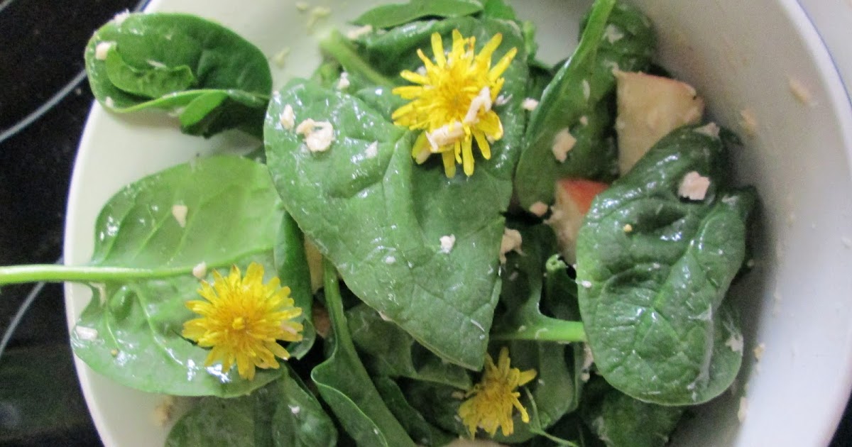 Your World Healthy and Natural Why and How to Eat Dandelions