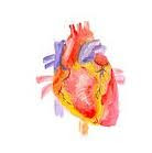 Informati Malformati cardiace