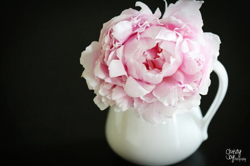 Christy Joy Photography Sometimes... {Nashville Photography}