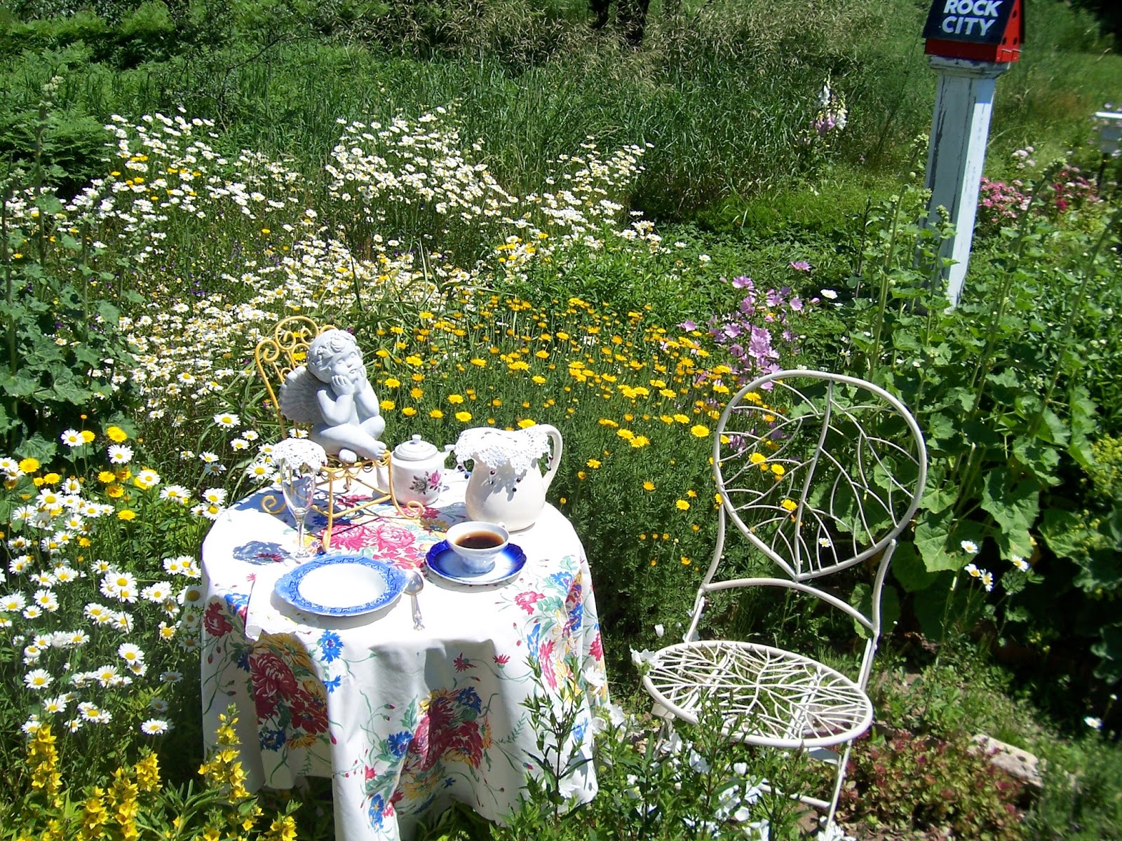 Two Cottages And Tea Daisy Tea