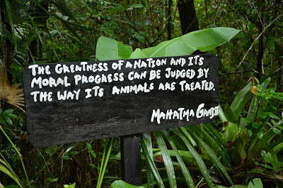 Saltaire Daily Photo Sunshine