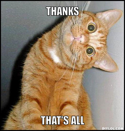 thank-you-cat-meme-generator-thanks-that-s-all-17a878.jpg