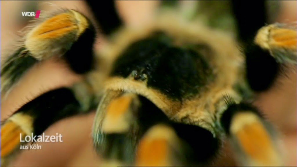 Meine Top 10 Buchempfehlungen Fur Montessori Begeisterte Eltern