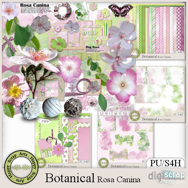 March 2019 HSA_Botanical_RosaCanina