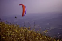 "A vida vai ficando cada vez mais dura perto do topo."