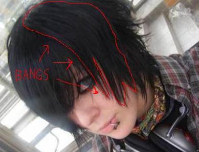 Potongan Rambut Emo Sebabkan Kerusakan Mata? - History Galang