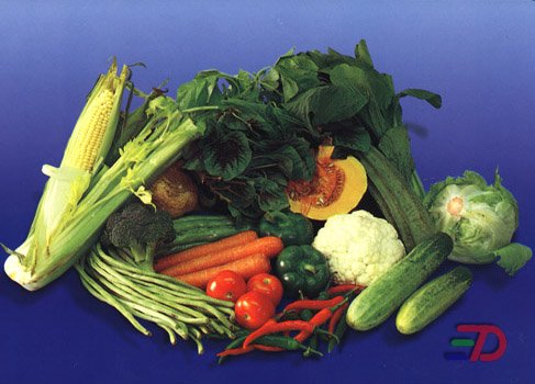 Lukisan Sayur Sayuran Di Atas Meja Cikimm Com