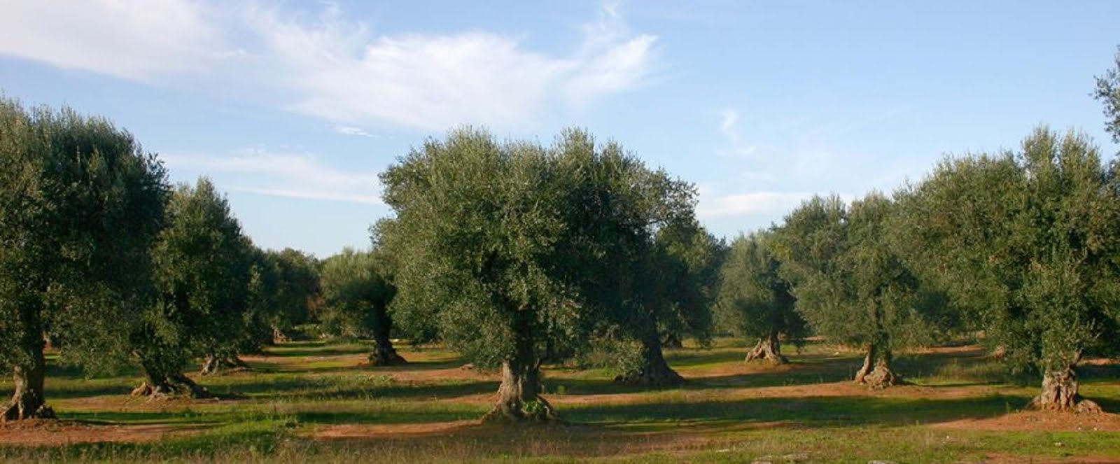Valle D'Itria Puglia