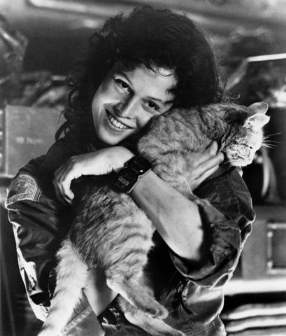http://3.bp.blogspot.com/-Pg4jYQgGMM0/T3MrUdPqqoI/AAAAAAAAA8g/mUeu8CUmYqA/s1600/alien+ripley-and-jones-the-cat.jpg