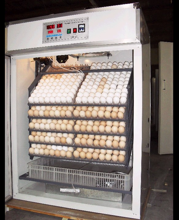 TAGAMENDA POULTRY AND EGG INCUBATOR CONSTRUCTION UNIT INCUBATORS