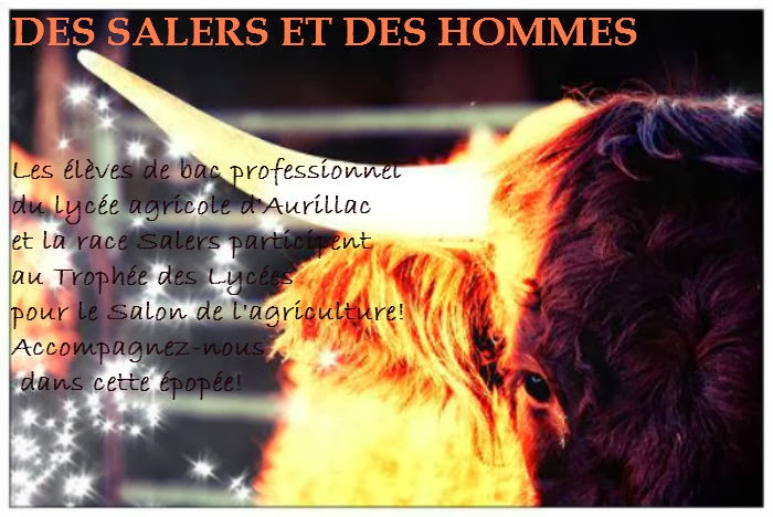 Des Salers et des Hommes