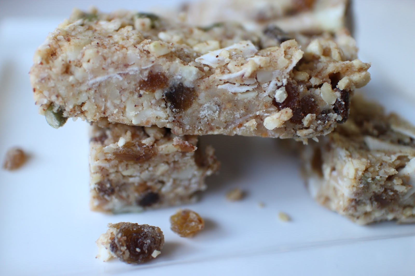Paleo Nut Bars