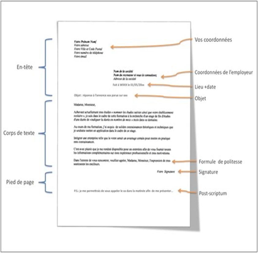 Exemple de CV  Stages/jobs  Le Parisien Etudiant 