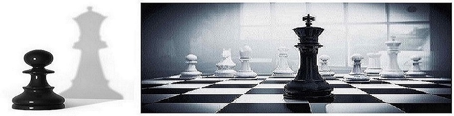 drDuki's chess corner