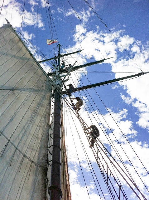 crew of the Californian climbing up the rigging