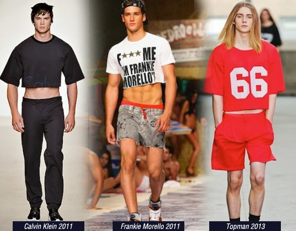 cropped masculina