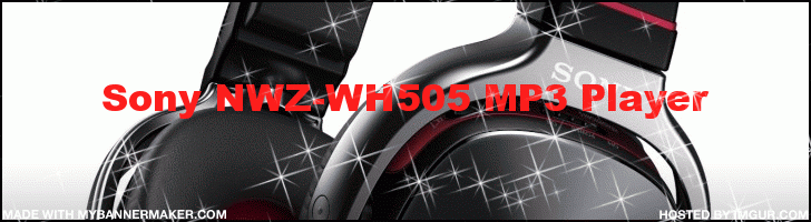 Sony NWZ-WH505 MP3 Player