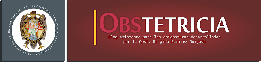 UNSCH Obstetricia - Brígida Ramírez Q.