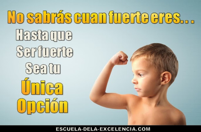 alimento alimento
