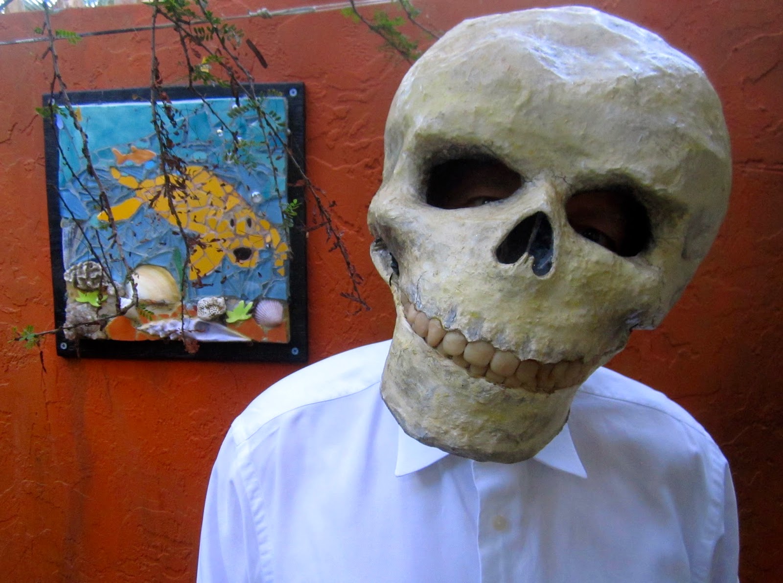 The Grove Guy MAKING A PAPER MACHE MASK