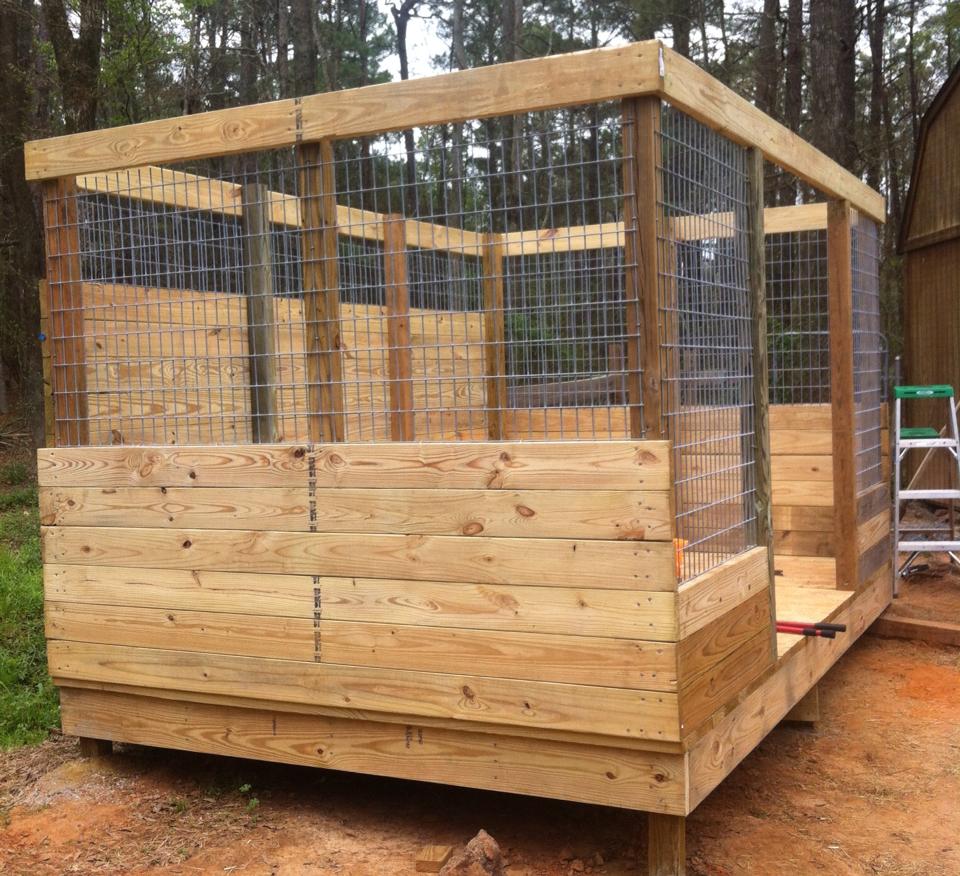 The Real APBT Dog Kennel Setups and Designs