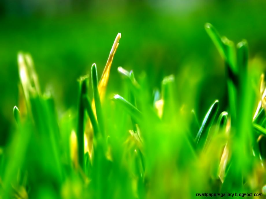 DESKTOP BACKGROUNDS Natural Vista Wallpaper DESKTOP BACKGROUNDS Natural Vista Wallpaper