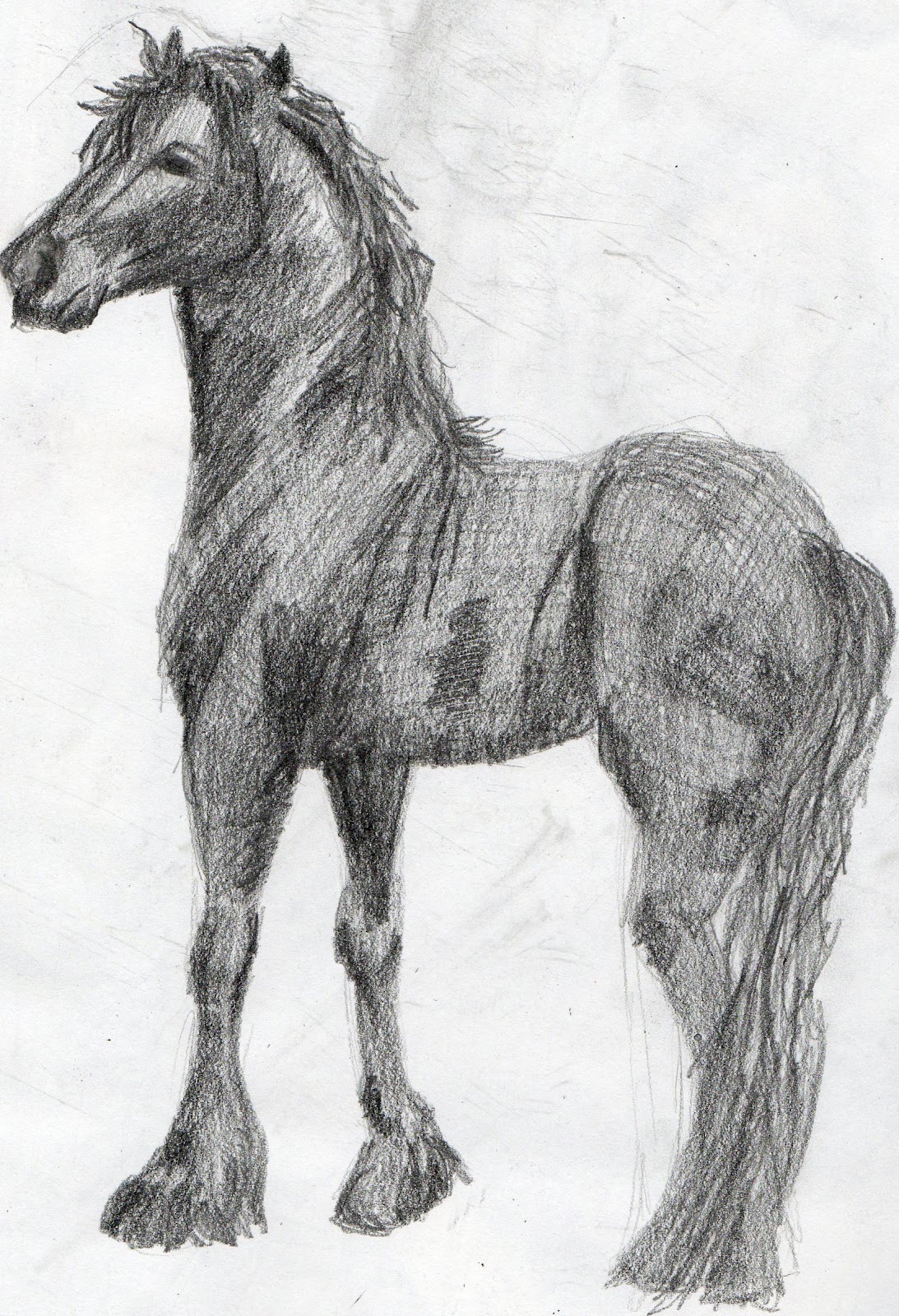 Cartoon Horse Drawing Sketch for Kindergarten