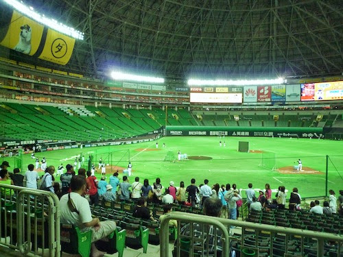 P1020466.jpg