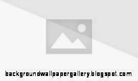 Timon amp Pumbaa TV series DisneyWiki Timon amp Pumbaa TV series DisneyWiki