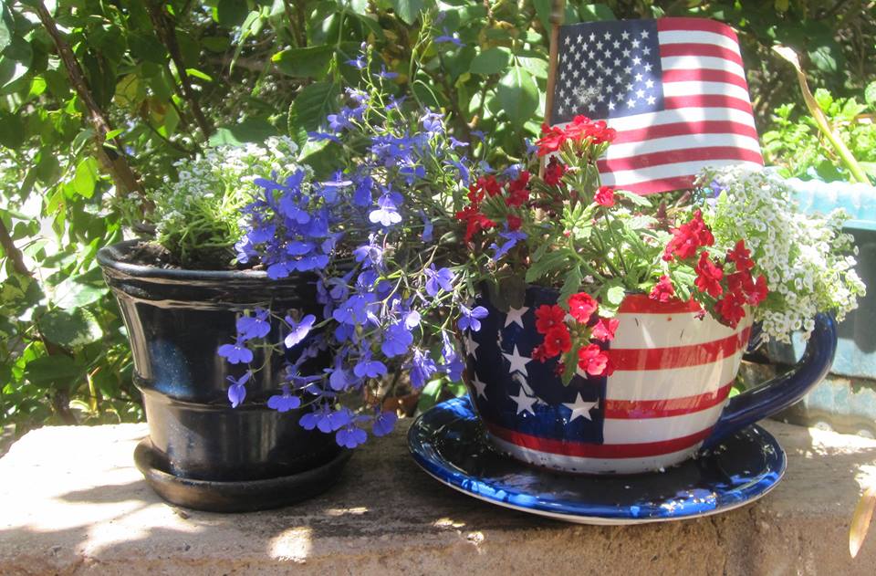 MzTeachuh's Enjoying Cooking and Gardening Red, White and Blue Flowers