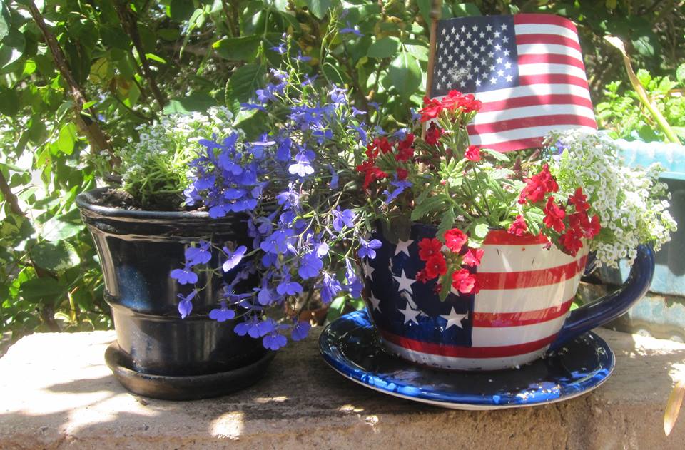 Hanging basket of petunia, <b>red, white and blue</b>. Sometimes you can find ...