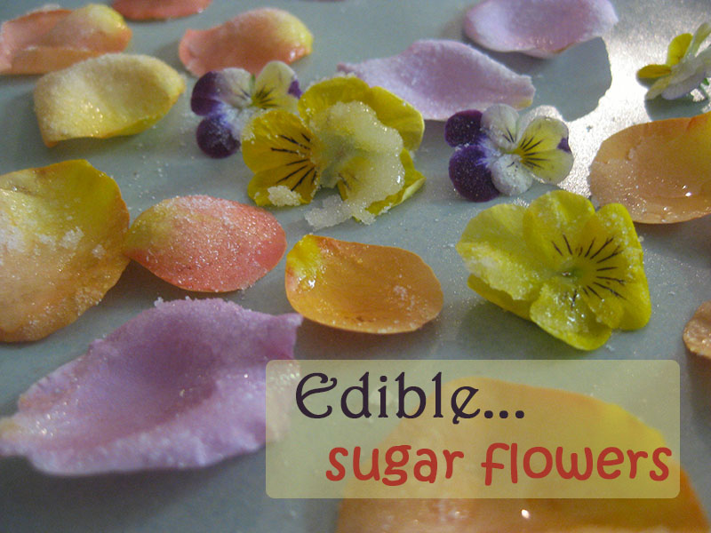 Happy Whimsical Hearts Edible sugar flowers