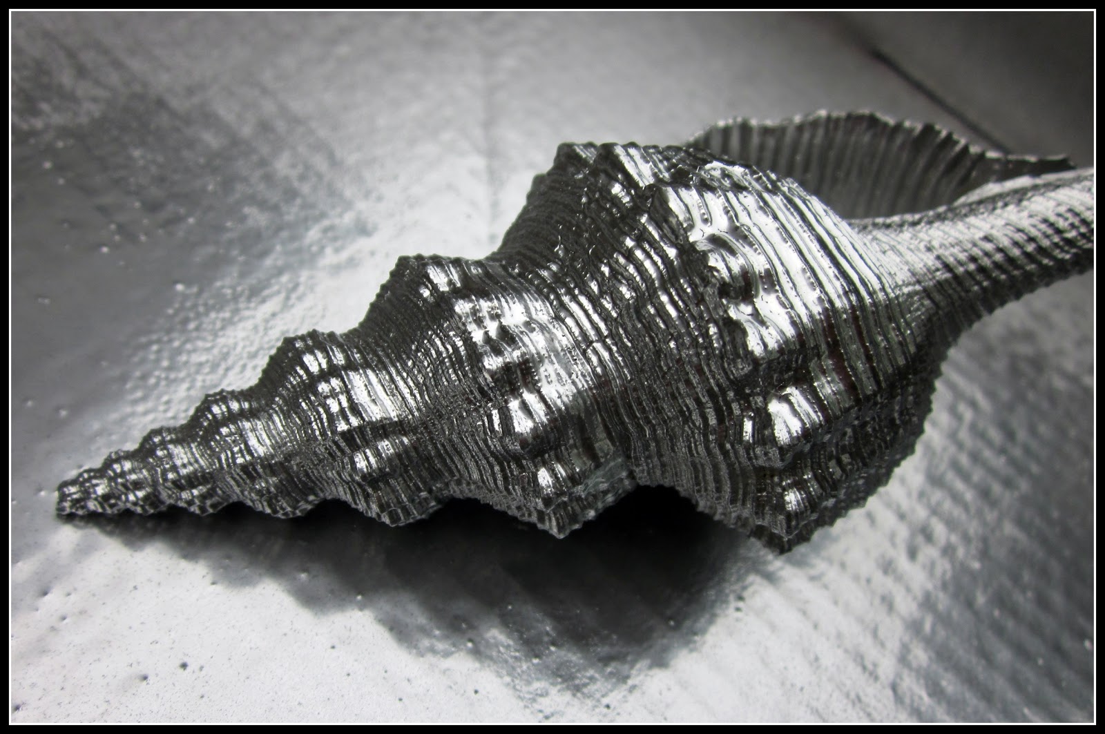 How To Make Shells Shiny For Jewelry at Neal Hutchison blog